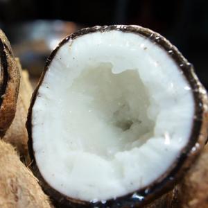 Coconut 3