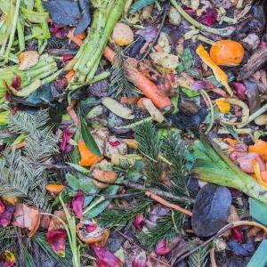 2.5 food waste rec